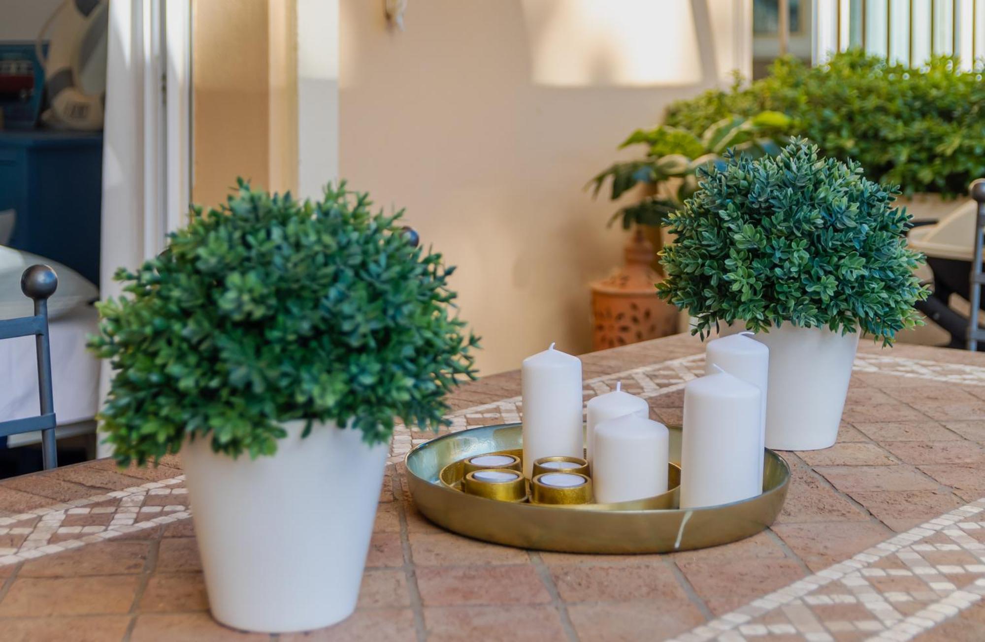 Elviria Relax Garden House *